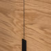 תמונה מזווית מספר 4 של המוצר MODESTO | שידה מעץ בשילוב גוון שחור ברוחב 100 ס"מ