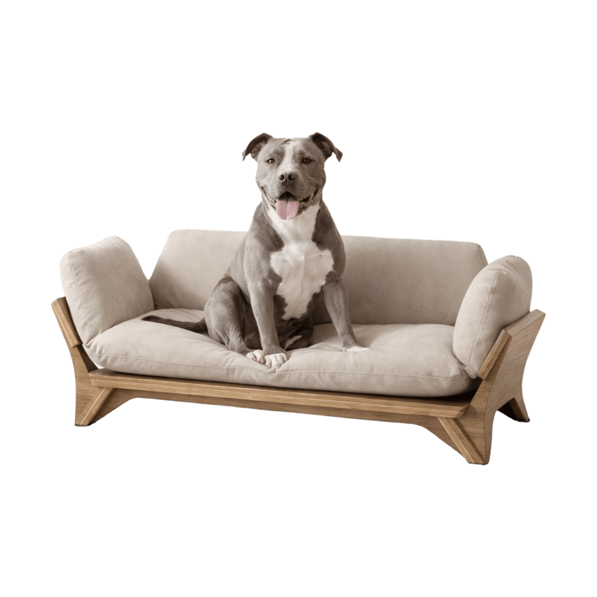 אביזרים לחיות מחמד - KUALA