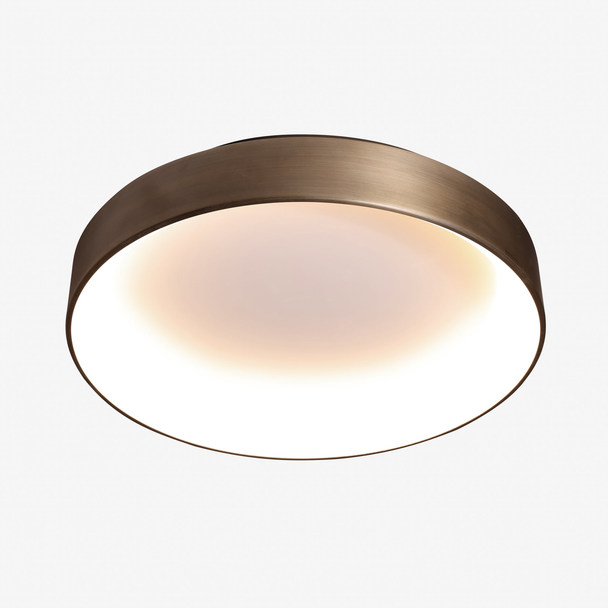 BEJO | מנורה צמודת תקרה מעוצבת בסגנון תעשייתי