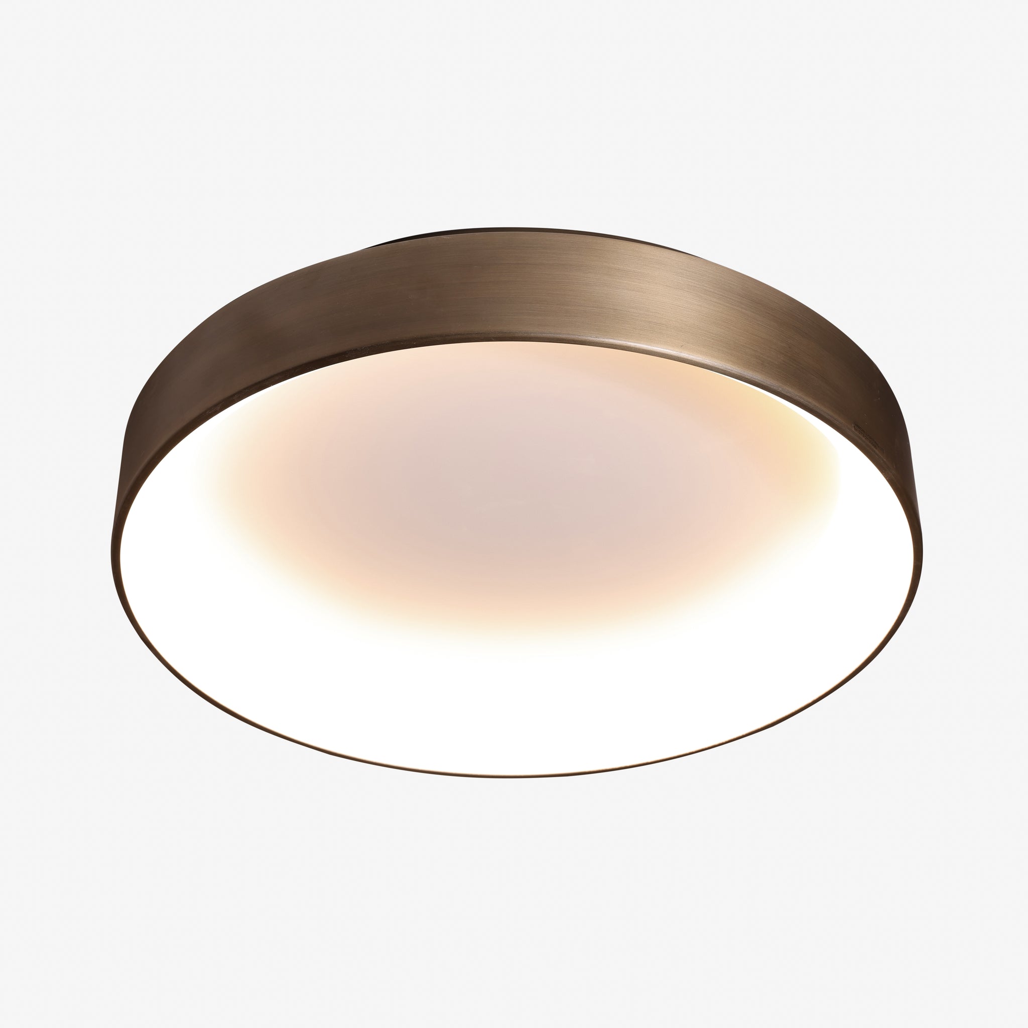 BEJO | מנורה צמודת תקרה מעוצבת בסגנון תעשייתי