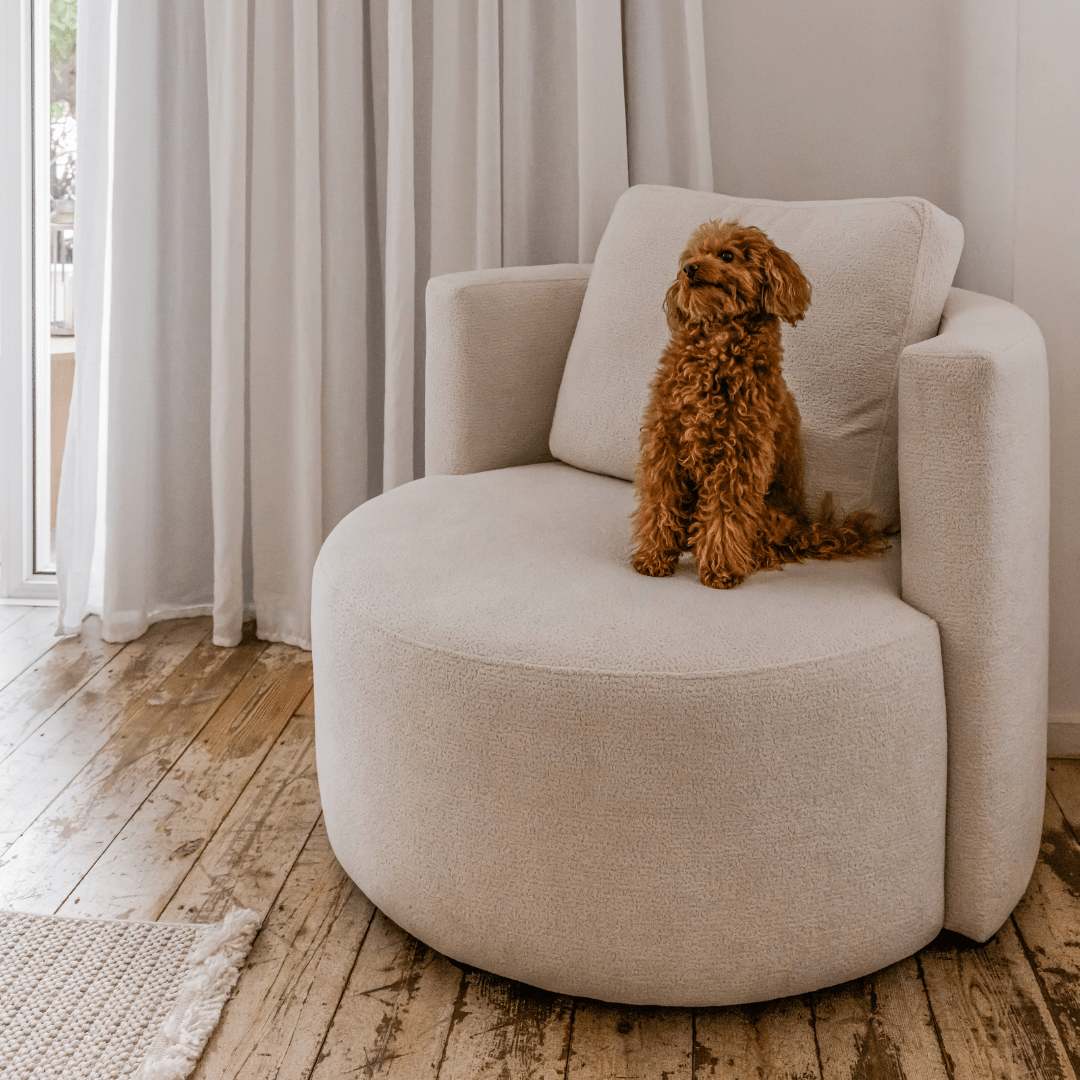 RAFFA | כורסא מרופדת מעוצבת בסגנון נורדי מעוגל