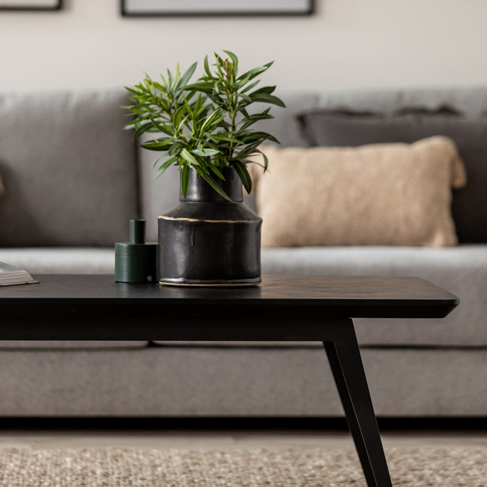 HOLDER | שולחן עץ לסלון בגוון שחור