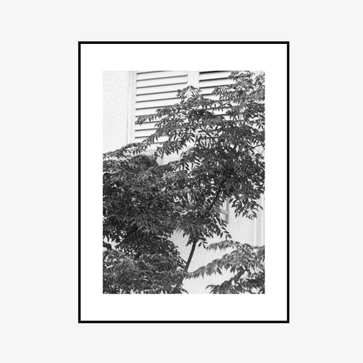 מעבר לעמוד מוצר HOLTS | תמונה בשחור לבן במסגרת עץ שחור