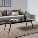 תמונה מזווית מספר 1 של המוצר HOLDER | שולחן עץ לסלון בגוון שחור